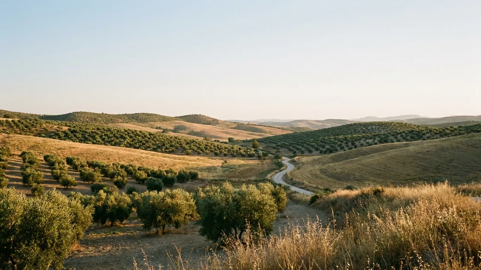 Serene Spanish countryside with rolling hills and distant mountains, bathed in soft morning light.