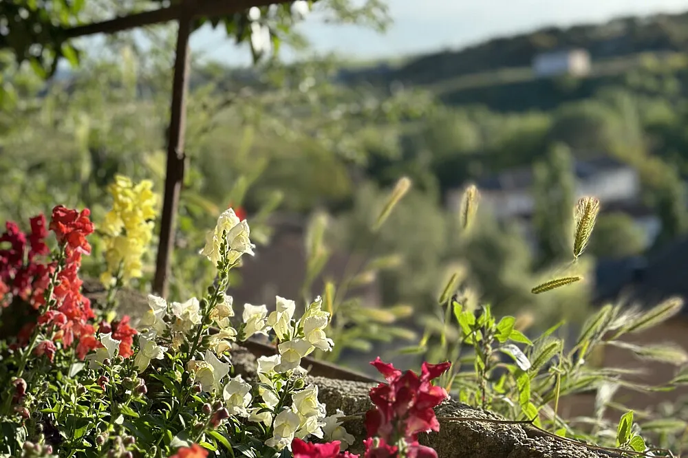 5 Day Yoga Retreat in Unspoiled Spain, 1 hour from Madrid — photo 2